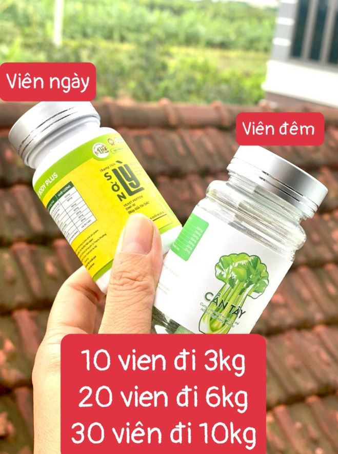 Bao bì sản phẩm Giảm Cân Sơn Ly Body Plus