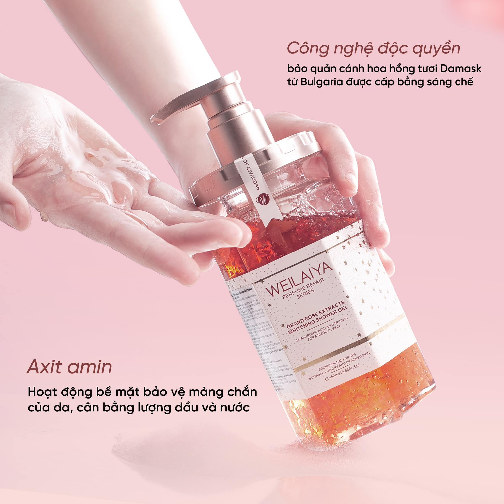 Công nghệ độc quyền bảo quản cánh hoa hồng Damask tươi từ Bulgaria
